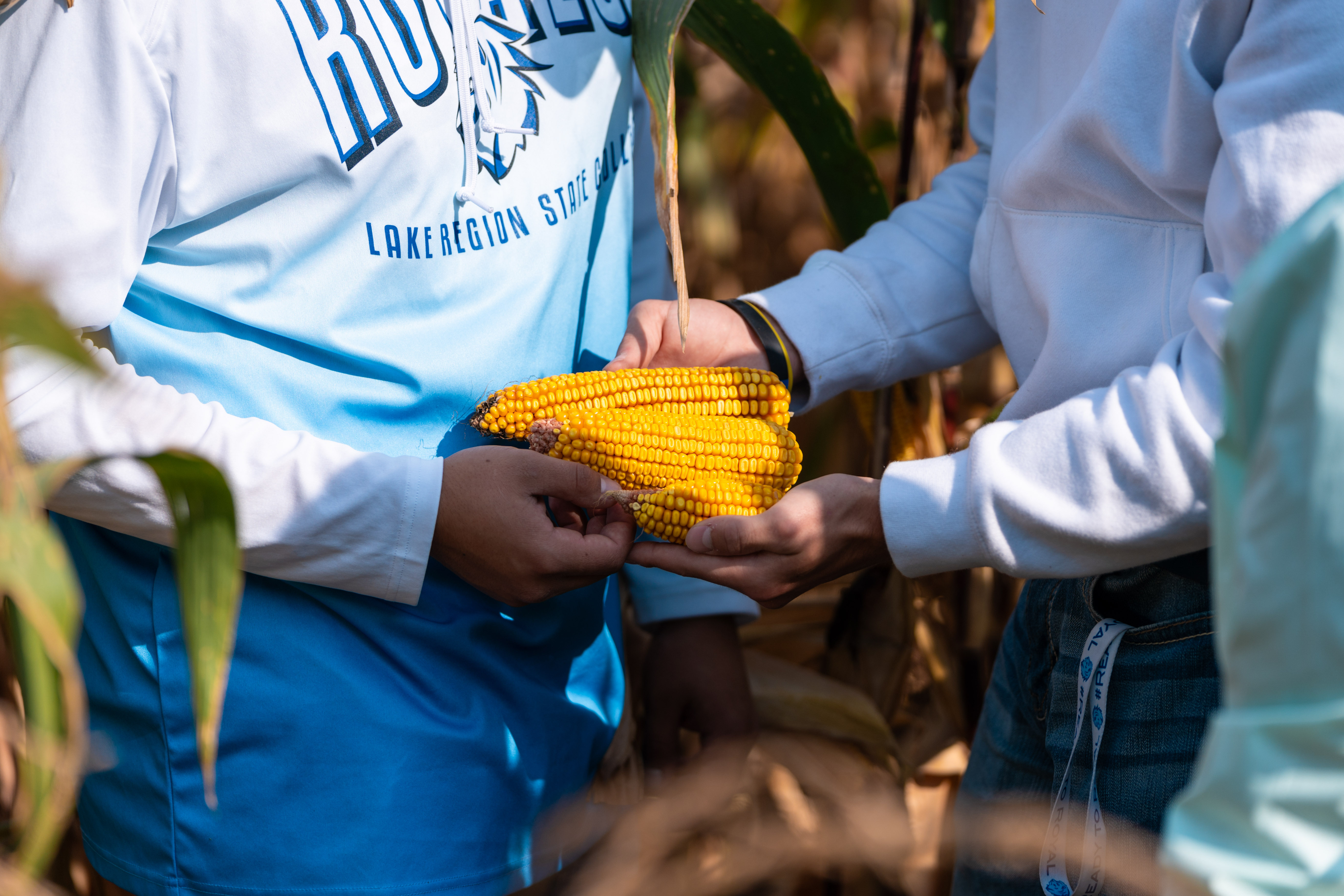 Agriculture