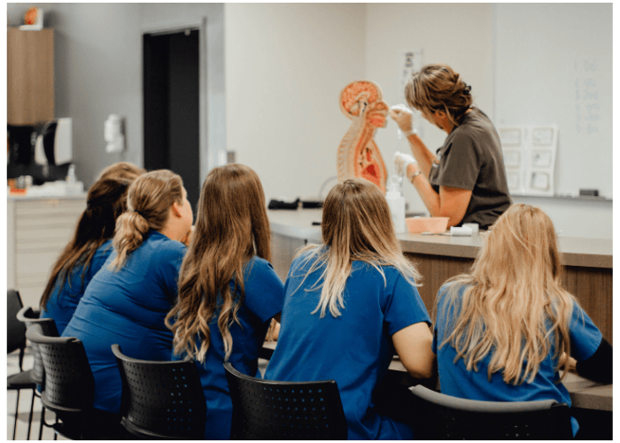 Nursing students participating in a hands-on lecture.