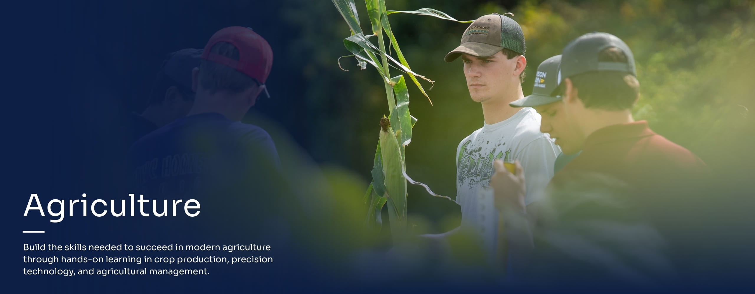 LRSC Ag students observing a corn field.
