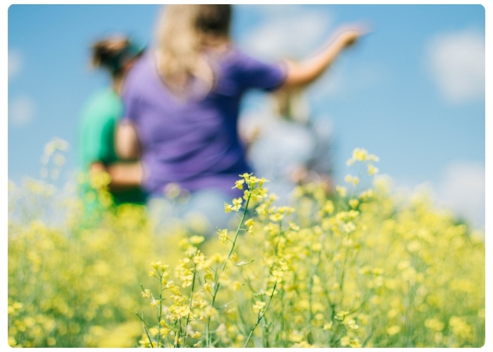 Yellow flowers bloom in the foreground while people observe plants in a field in the background.
