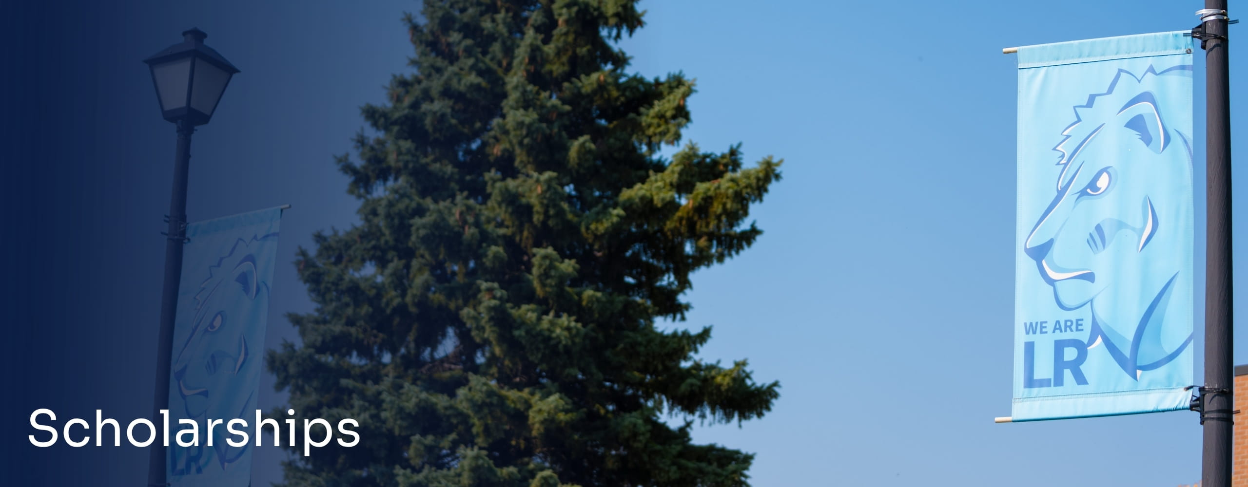 Picture of LRSC banner in front of a tree.