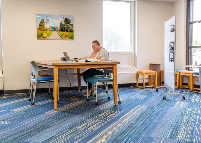 LRSC student studying in the Learning Commons. 