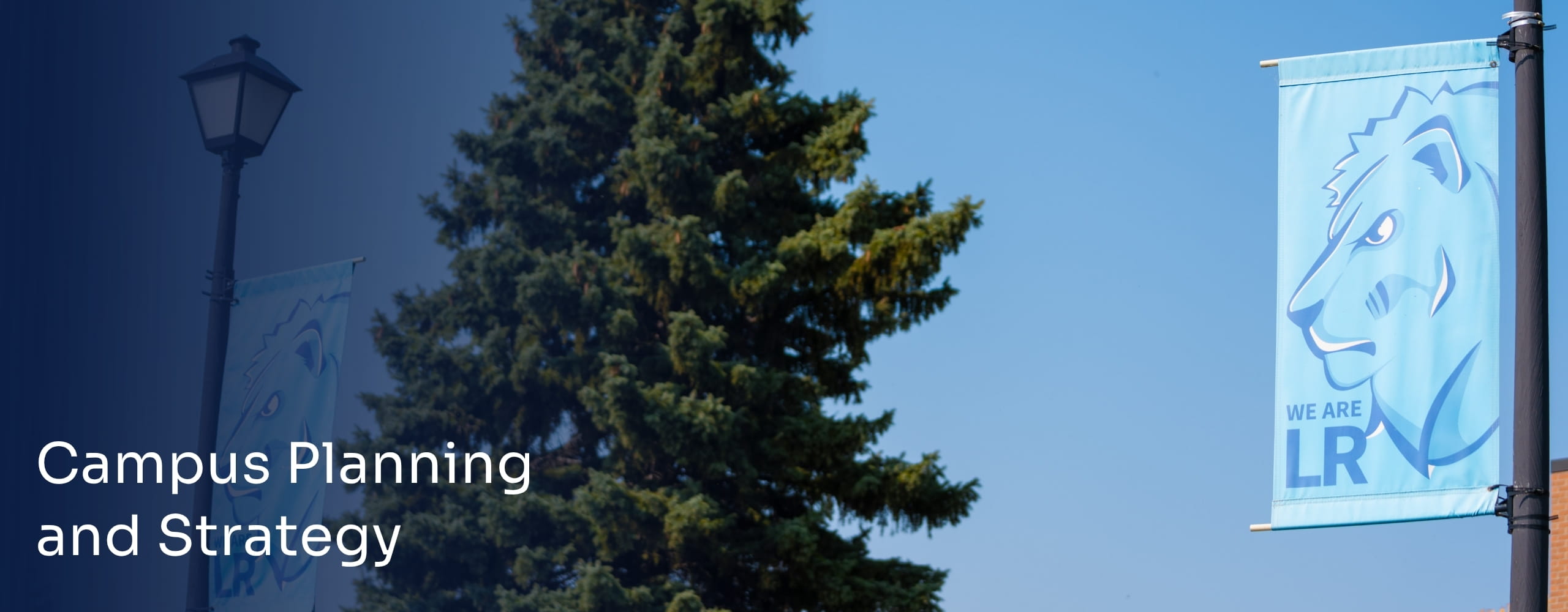 LRSC campus banner displayed beside a large evergreen tree.
