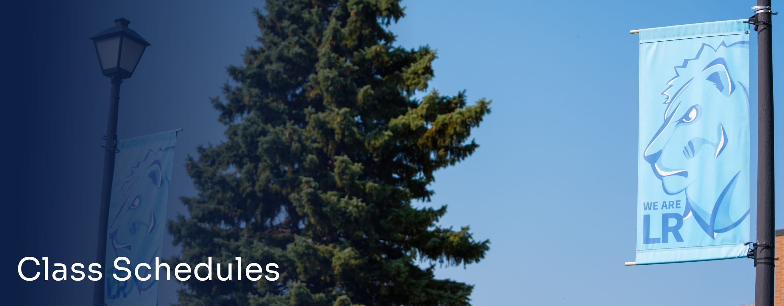 Picture of LRSC flag with a tree in the back.