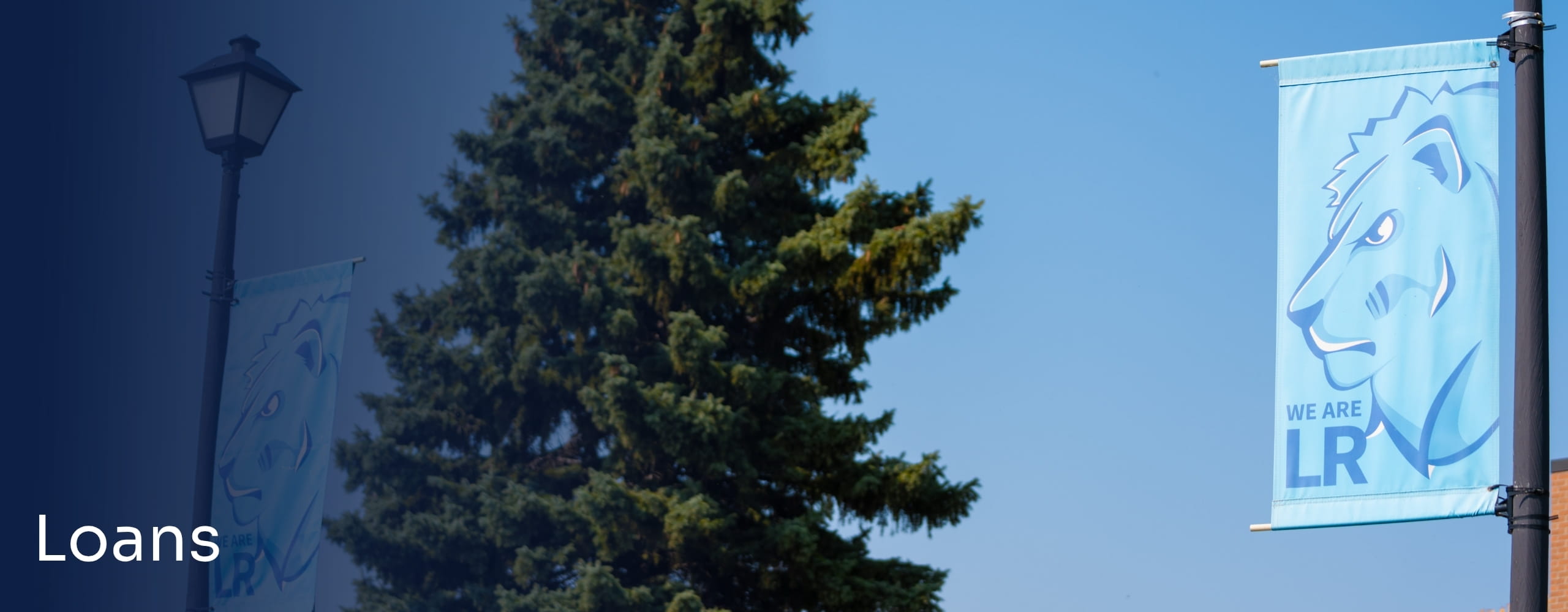 Banner.