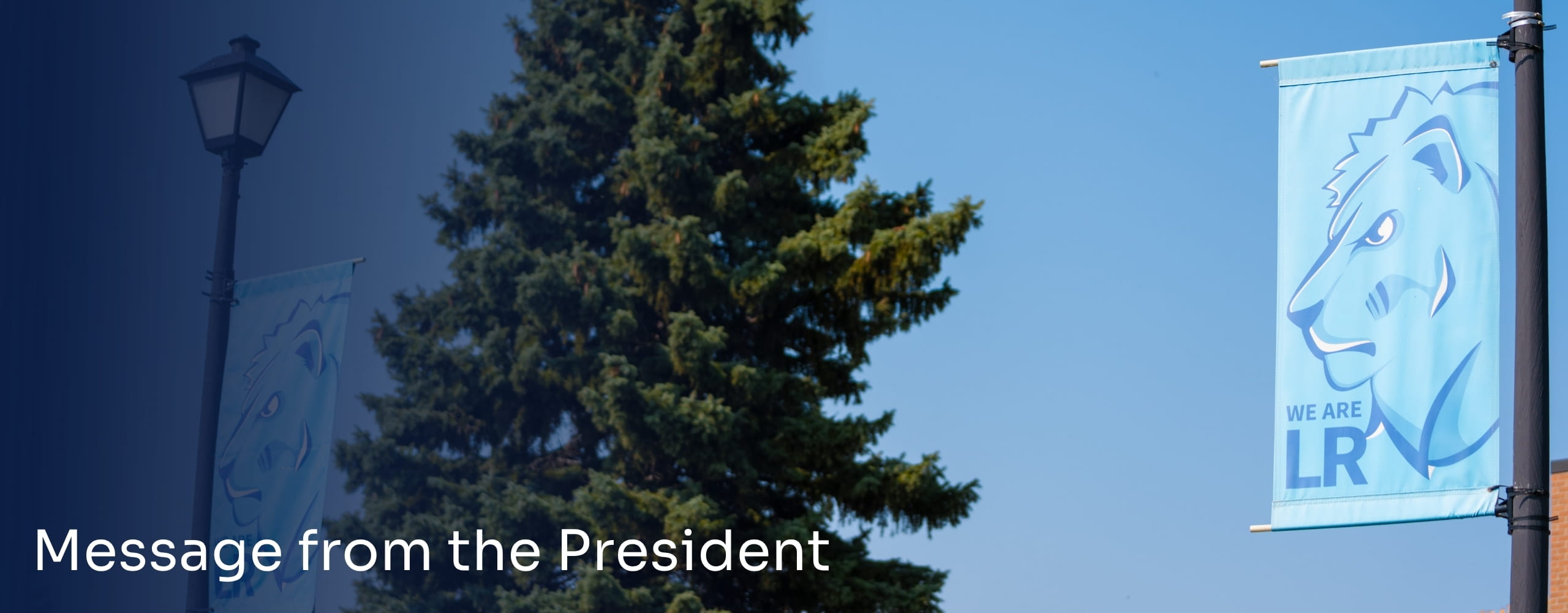 LRSC campus banner displayed beside a large evergreen tree.