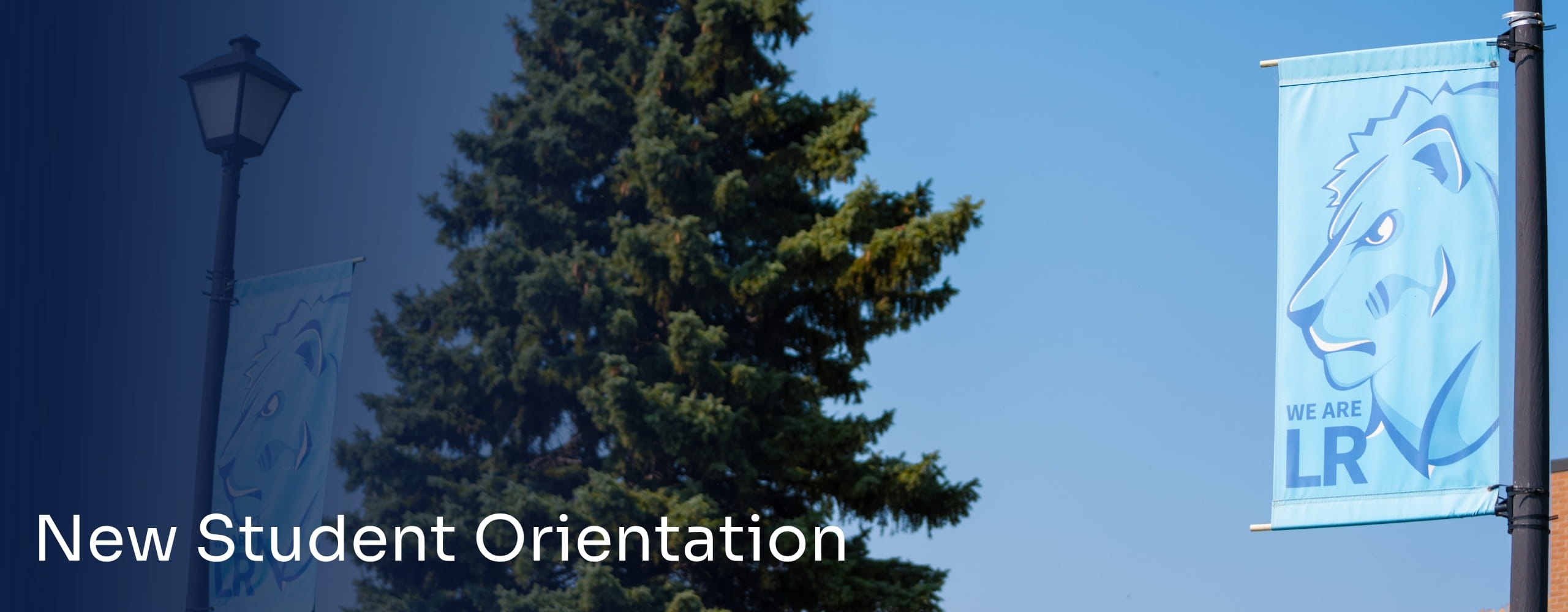 Graphic of LRSC flag with a tree in the back.