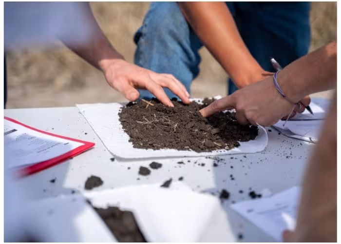 Students examining soil outside. 