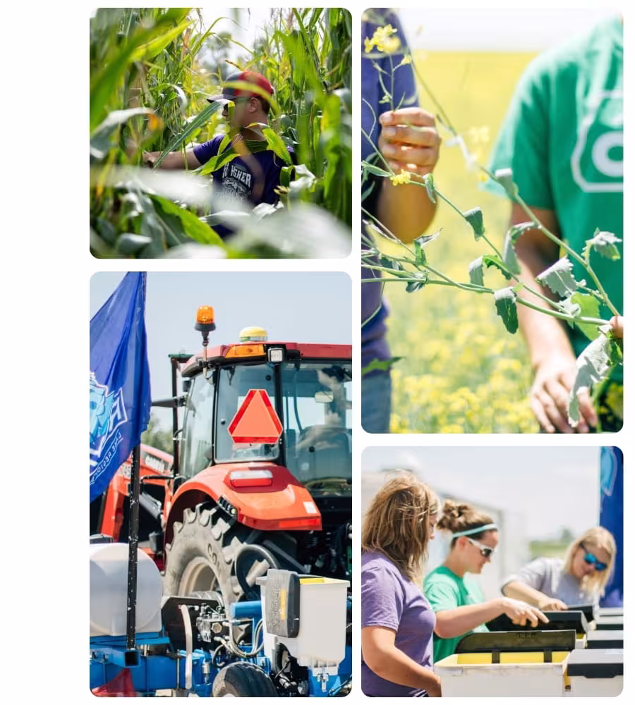 Collage of agricultural learning experiences featuring crop research in a field, hands-on plant analysis, modern farm equipment, and students working with agricultural technology.