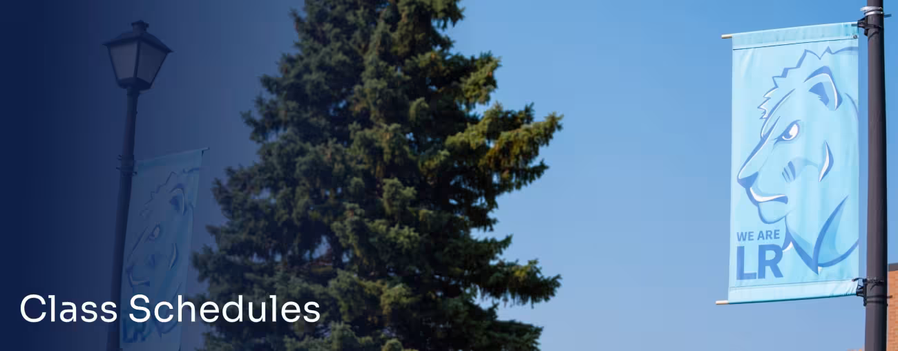 Picture of LRSC flag with a tree in the back.